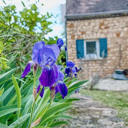Feriehus Les Petites Plumes
