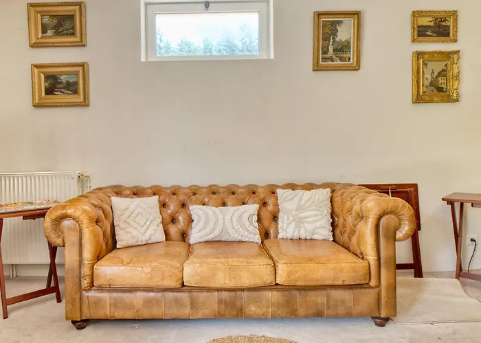 Les Petites Plumes Meynard