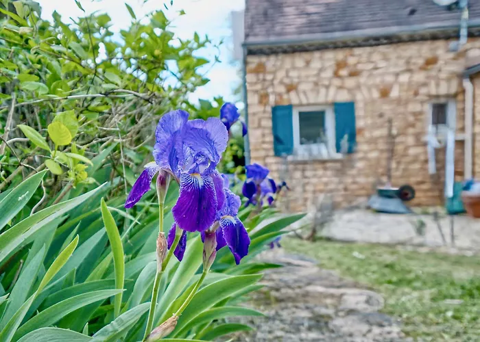 Semesterbostad Les Petites Plumes