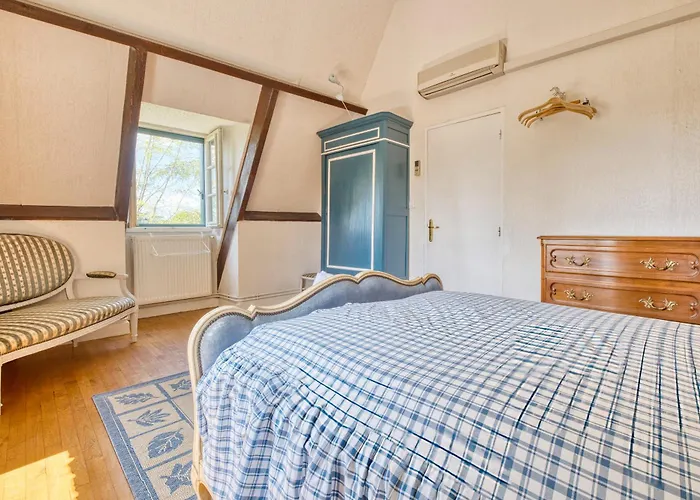 Les Petites Plumes * Meynard